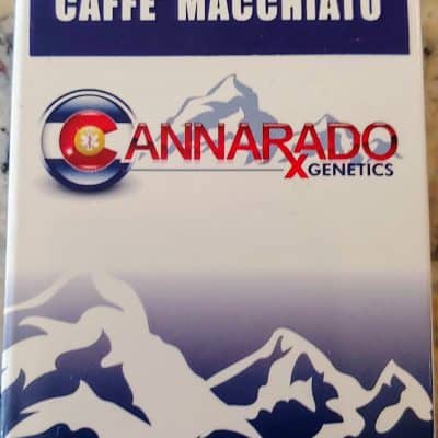 CANNARADO_GENETICS_CAFFE_MACCHIATO_LUSCIOUS_GENETICS