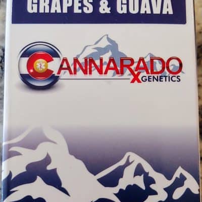CANNARADO_GENETICS_GRAPES_&_GUAVA_LUSCIOUS_GENETICS