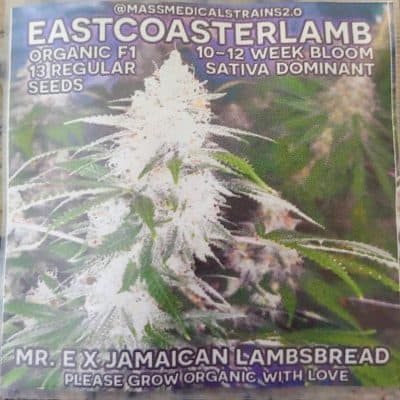 MASS_MEDICAL_STRAINS_EASTCOASTERLAMB_REG_LUSCIOUS_GENETICS