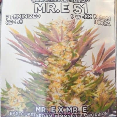 MASS_MEDICAL_STRAINS_MR_E_S1_FEM_LUSCIOUS_GENETICS