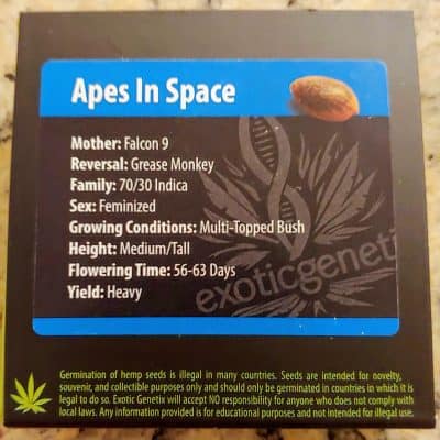 EXOTIC_GENETIX_APES_IN_SPACE_FEM_LUSCIOUS_GENETICS