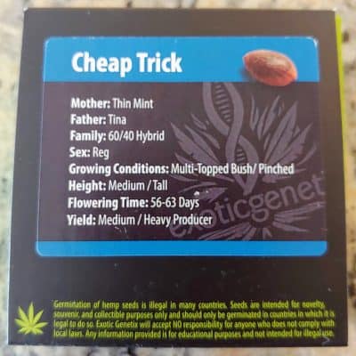 EXOTIC_GENETIX_CHEAP_TRICK_LUSCIOUS_GENETICS