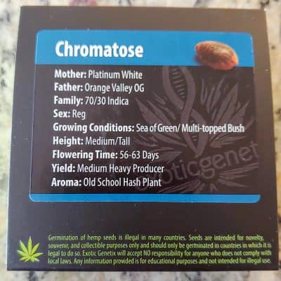 EXOTIC_GENETIX_CHROMATOSE_LUSCIOUS_GENETICS