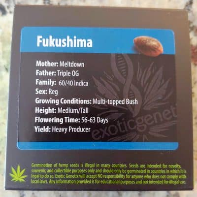 EXOTIC_GENETIX_FUKUSHIMA_LUSCIOUS_GENETICS