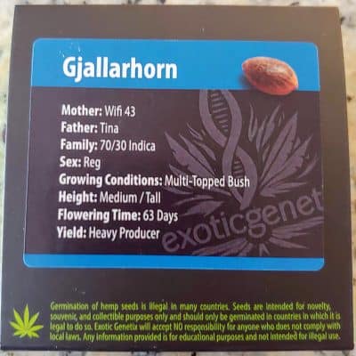 EXOTIC_GENETIX_GJALLARHORN_LUSCIOUS_GENETICS