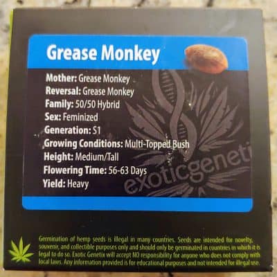 EXOTIC_GENETIX_GREASE_MONKEY_FEM_LUSCIOUS_GENETICS