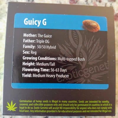 EXOTIC_GENETIX_GUICY_G_LUSCIOUS_GENETICS