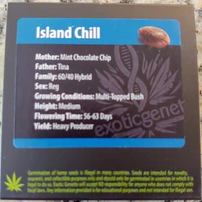 EXOTIC_GENETIX_ISLAND_CHILL_LUSCIOUS_GENETICS