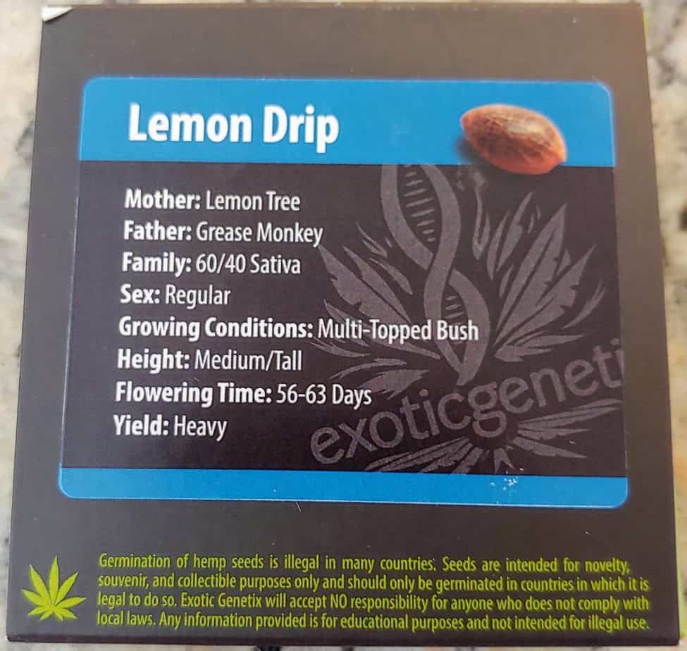 Exotic Lemon Drip(Reg) Luscious