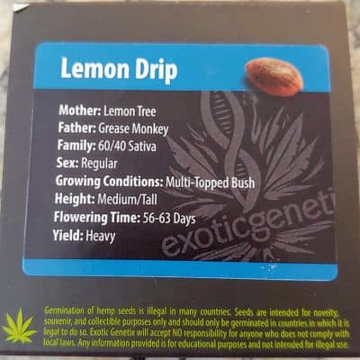 EXOTIC_GENETIX_LEMON_DRIP_LUSCIOUS_GENETICS