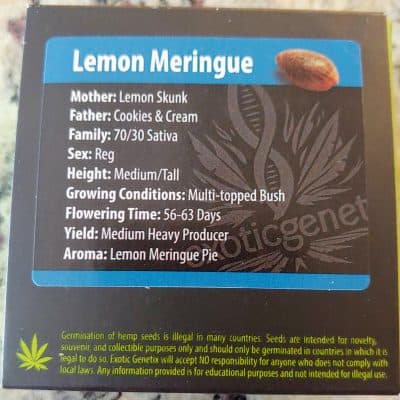 EXOTIC_GENETIX_LEMON_MERINGUE_LUSCIOUS_GENETICS