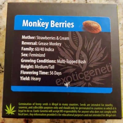 EXOTIC_GENETIX_MONKEY_BERRIES_FEM_LUSCIOUS_GENETICS