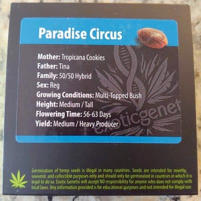 EXOTIC_GENETIX_PARADISE_CIRCUS_LUSCIOUS_GENETICS