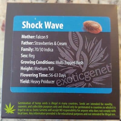 EXOTIC_GENETIX_SHOCK_WAVE_LUSCIOUS_GENETICS