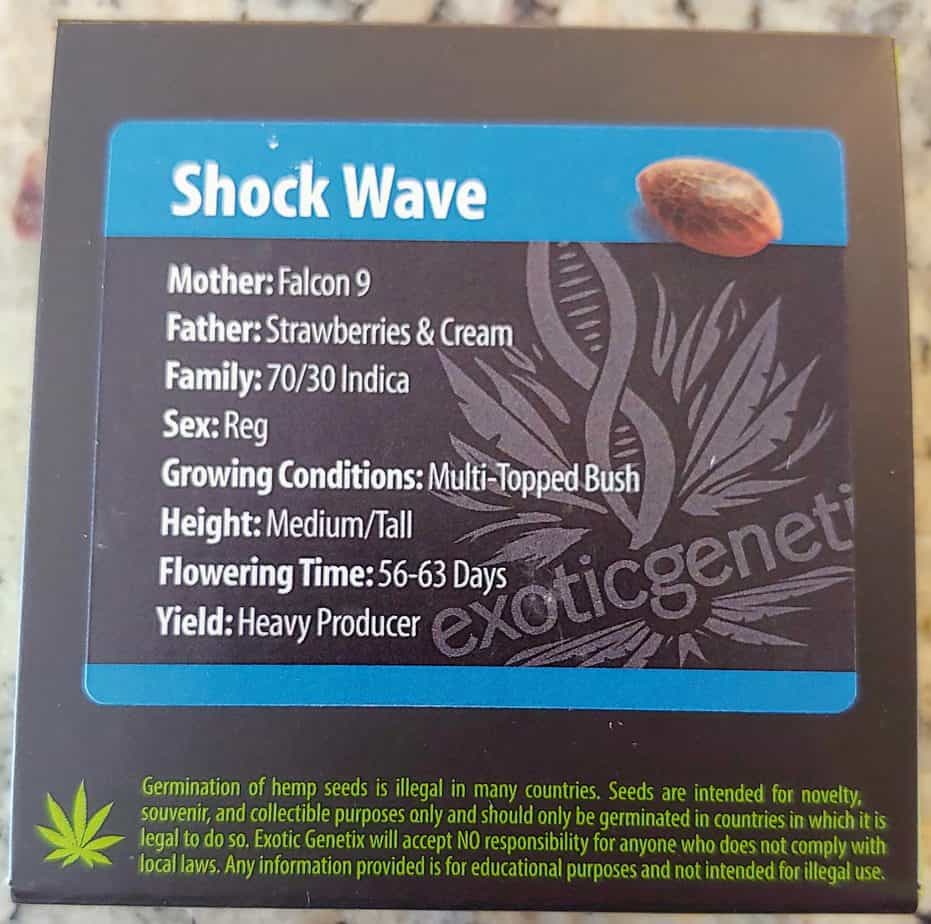 EXOTIC_GENETIX_SHOCK_WAVE_LUSCIOUS_GENETICS