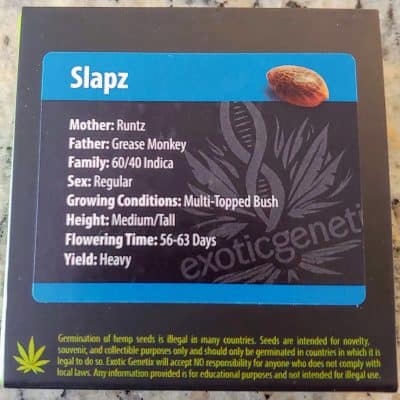 EXOTIC_GENETIX_SLAPZ_LUSCIOUS_GENETICS