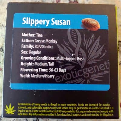 EXOTIC_GENETIX_SLIPPERY_SUSAN_LUSCIOUS_GENETICS