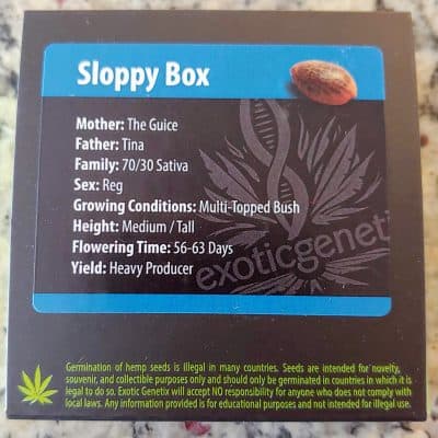EXOTIC_GENETIX_SLOPPY_BOX_LUSCIOUS_GENETICS