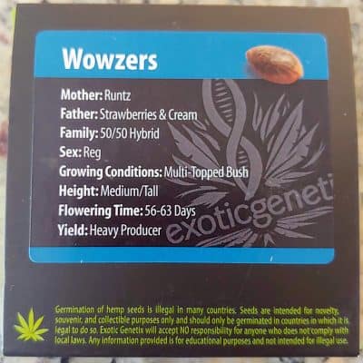 EXOTIC_GENETIX_WOWZERS_LUSCIOUS_GENETICS