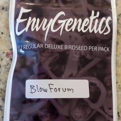 ENVY_GENETICS_BLOW_FORUM_LUSCIOUS_GENETICS