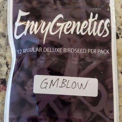 ENVY_GENETICS_GM_BLOW_LUSCIOUS_GENETICS