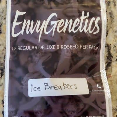 ENVY_GENETICS_ICE_BREAKERS_LUSCIOUS_GENETICS