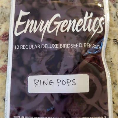 ENVY_GENETICS_RING_POPS_LUSCIOUS_GENETICS
