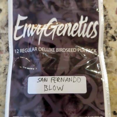 ENVY_GENETICS_SAN_FERNANDO_BLOW_LUSCIOUS_GENETICS
