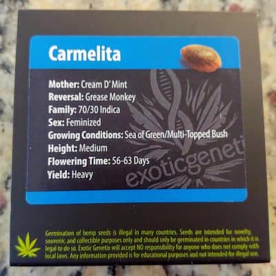 EXOTIC_GENETIX_CARMELITA_FEM_LUSCIOUS_GENETICS