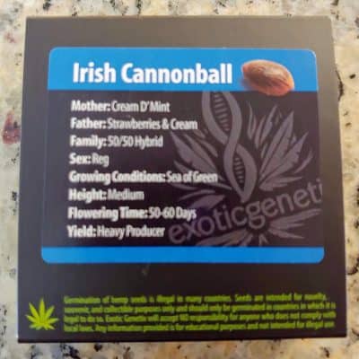 EXOTIC_GENETIX_IRISH_CANNONBALL_LUSCIOUS_GENETICS