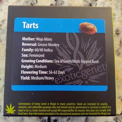 EXOTIC_GENETIX_TARTS_FEM_LUSCIOUS_GENETICS
