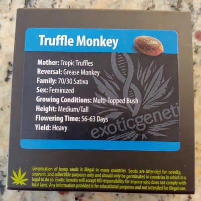 EXOTIC_GENETIX_TRUFFLE_MONKEY_FEM_LUSCIOUS_GENETICS