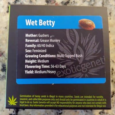 EXOTIC_GENETIX_WET_BETTY_FEM_LUSCIOUS_GENETICS