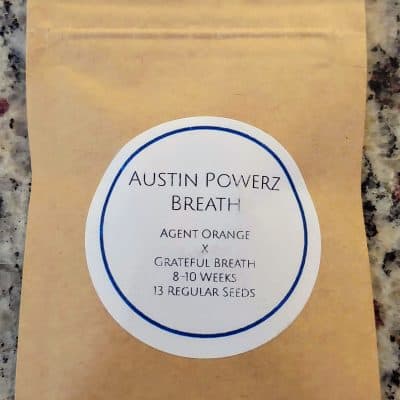 LAWLESS_BREED_GENETICS_AUSTIN_POWERZ_BREATH_PACK_LUSCIOUS_GENETICS