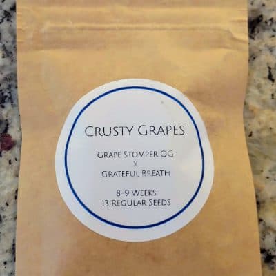LAWLESS_BREED_GENETICS_CRUSTY_GRAPES_PACK_LUSCIOUS_GENETICS