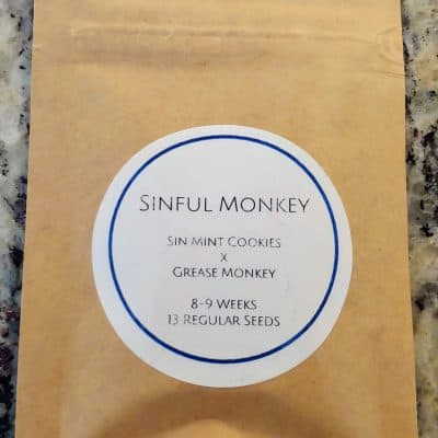 LAWLESS_BREED_GENETICS_SINFUL_MONKEY_PACK_LUSCIOUS_GENETICS