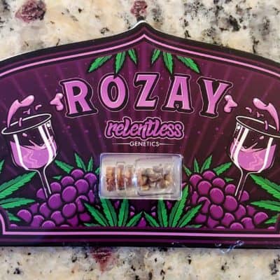 RELENTLESS_GENETICS_#1_STUNNA_FEM_LUSCIOUS_GENETICS