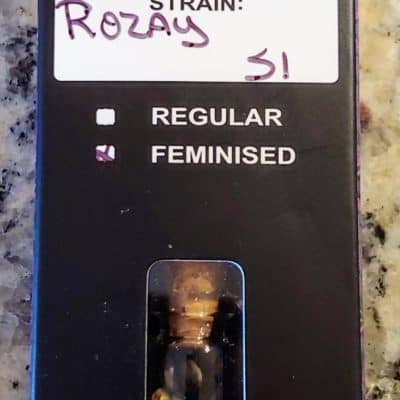 RELENTLESS_GENETICS_ROZAY_S1_FEM_LUSCIOUS_GENETICS
