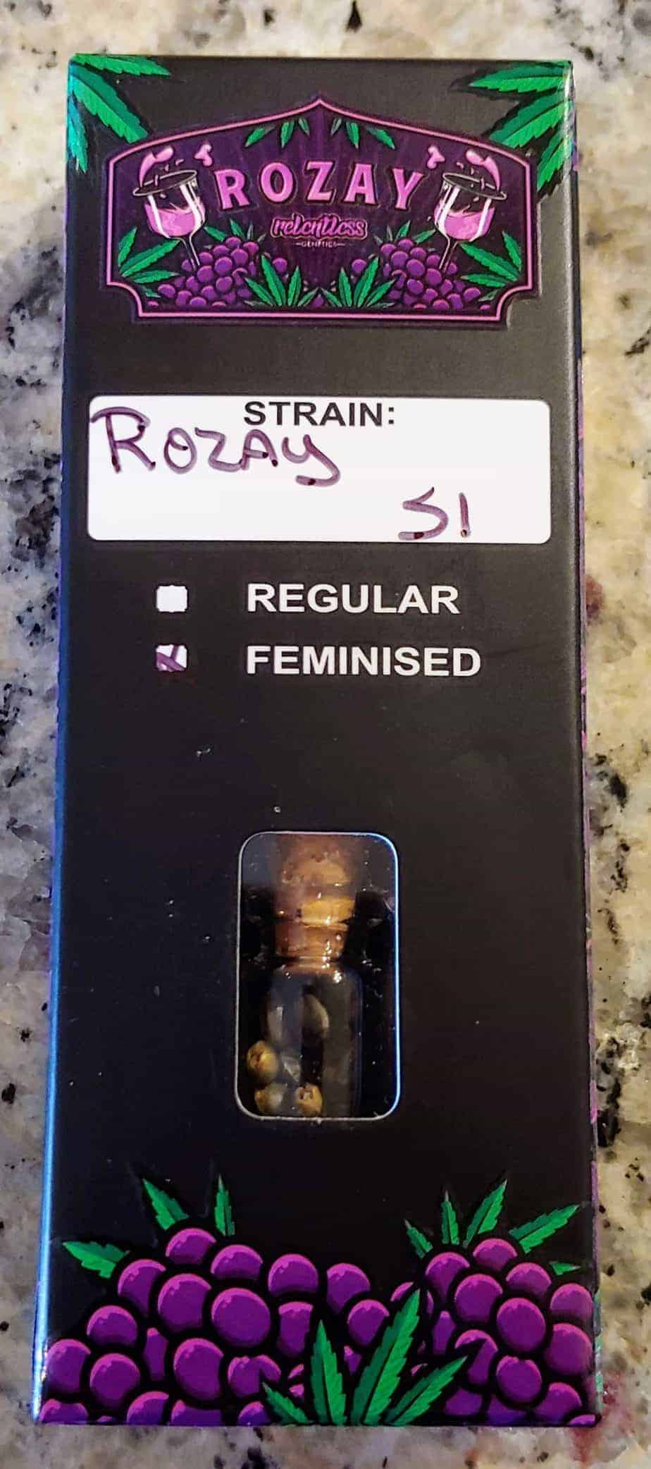 RELENTLESS_GENETICS_ROZAY_S1_FEM_LUSCIOUS_GENETICS