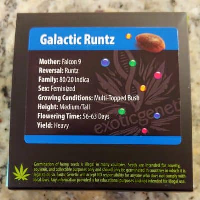 EXOTIC_GENETIX_GALACTIC_RUNTZ_FEM_LUSCIOUS_GENETICS