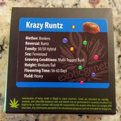 EXOTIC_GENETIX_KRAZY_RUNTZ_FEM_LUSCIOUS_GENETICS