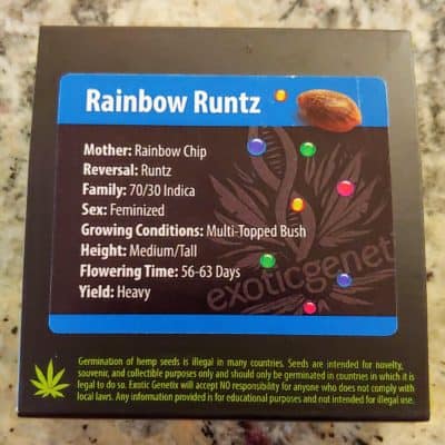 EXOTIC_GENETIX_RAINBOW_RUNTZ_FEM_LUSCIOUS_GENETICS