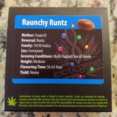 EXOTIC_GENETIX_RAUNCHY_RUNTZ_FEM_LUSCIOUS_GENETICS_50