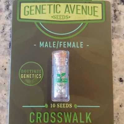 GENETIC_AVENUE_SEEDS_CROSSWALK_LUSCIOUS_GENETICS