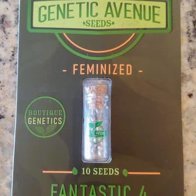 GENETIC_AVENUE_SEEDS_FANTASTIC_4_FEM_LUSCIOUS_GENETICS