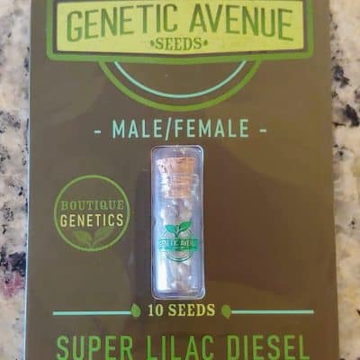 GENETIC_AVENUE_SEEDS_SUPER_LILAC_DIESEL_LUSCIOUS_GENETICS