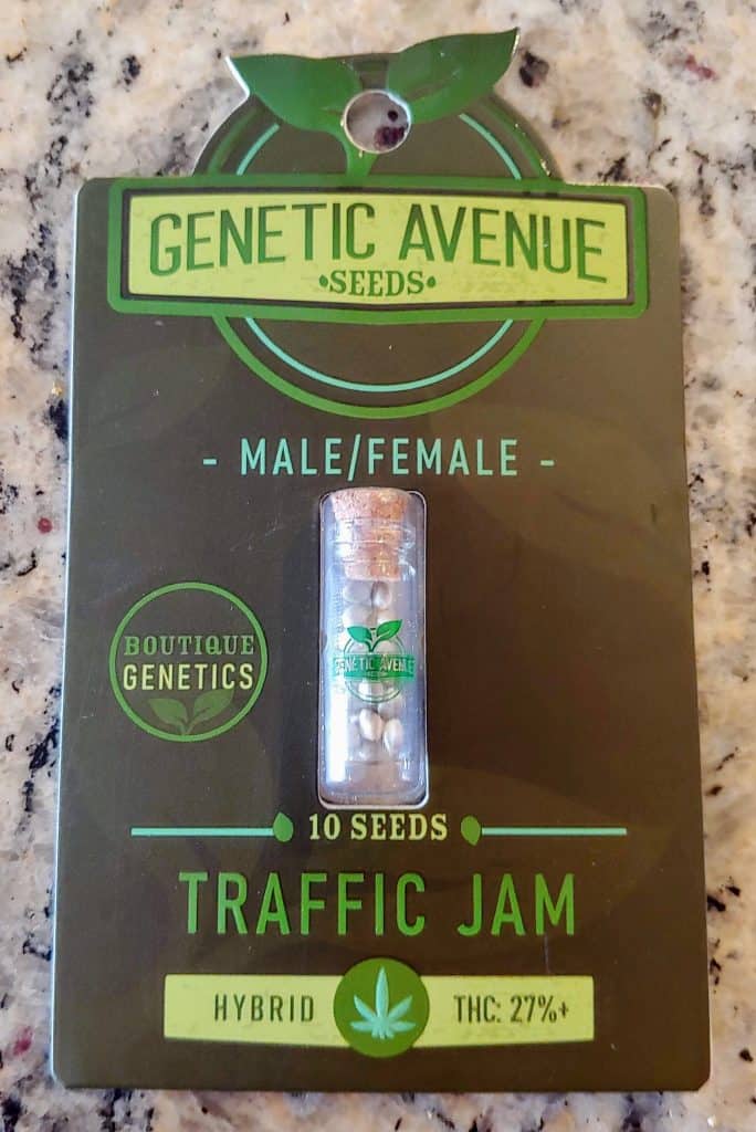 Avenue Seeds Traffic Jam Luscious