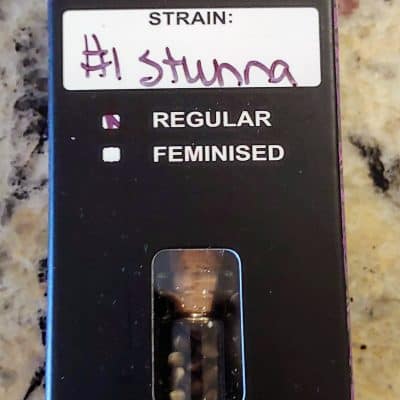 RELENTLESS_GENETICS_#1_STUNNA_REG_LUSCIOUS_GENETICS