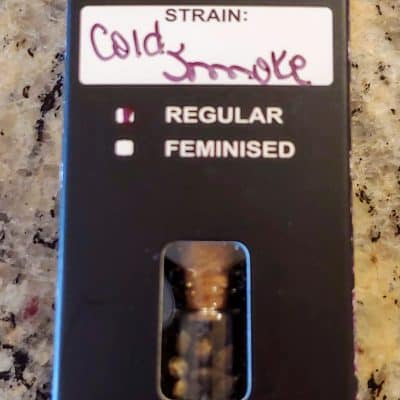 RELENTLESS_GENETICS_COLD_SMOKE_REG_LUSCIOUS_GENETICS