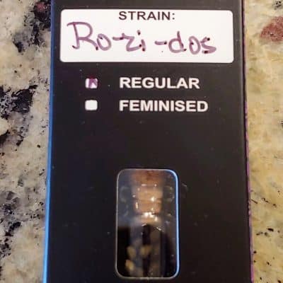 RELENTLESS_GENETICS_ROZIDOS_REG_LUSCIOUS_GENETICS